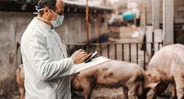 Boost for Purdue Animal Disease Diagnostic Laboratory in Indiana State Budget