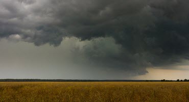 USDA Encourages Ag Producers, Residents to Prepare for Hurricane Idalia