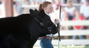9 Essential Biosecurity Measures for Livestock Shows