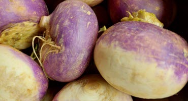Turn Up the Flavor and Nutrition by Planting Turnips