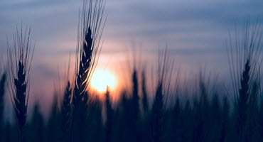 USDA Boosts Wyoming Conservation with $25M Share in $1B Push