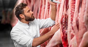 Wisconsin pork association internship program