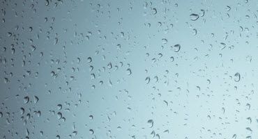 NY farmers make progress despite rain