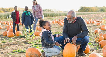 Southwestern Illinois Update: Pumpkins Survive Despite Weather