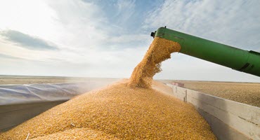 Silage Covering and Harvest Management to Maximize Feed Value