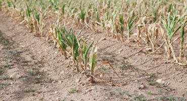 South Dakota Farmers Get USDA Drought Relief Aid