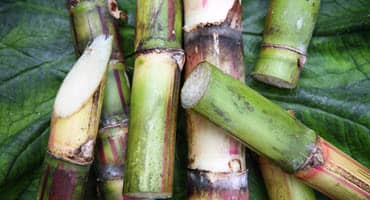 USDA announces 2023 sugar loan rates