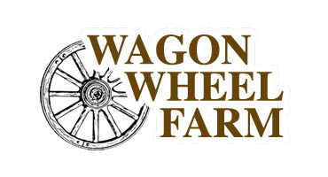 Conservation Groups Announce Protection of Wagon Wheel Farm in Goshen, NY