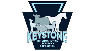Texas A&M livestock judging team wins national title