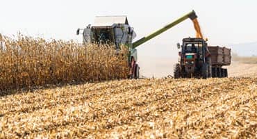 Harvest Crop Insurance Prices Below Spring Guarantees, as White House Highlights Rural Investments