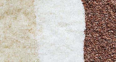 Cornell project tests rice as viable option
