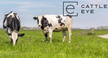New Feedstuff finder tool helps farmers and ranchers