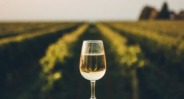 The Sun That Nurtures New York’s Grapes Now Powers Many New York Wineries