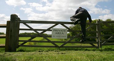 Cattle Thief Sentenced to Probation