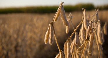 Safety takes center stage during farm health week