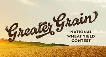 Wheat yield warriors shine in 2023 national contest