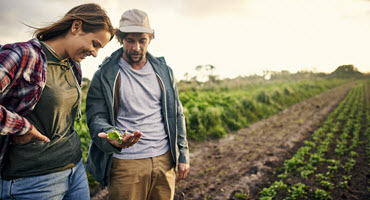 New York Revives Essential Urban Agriculture Funding