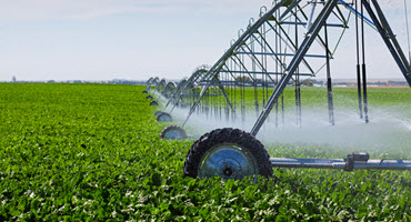 Lessons From Other States Can Help Iowa Advance Its Water Goals