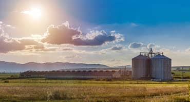 Northeast Iowa's Agricultural Landscape Flourishes with Beautiful Planting Conditions