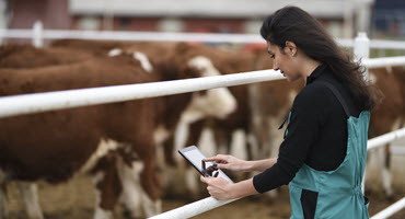Livestock Barn Transforms Iowa School, Enriching Education and Empowering Students