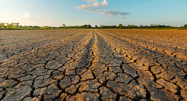 Climate change drives skyrocketing crop insurance costs in South Dakota