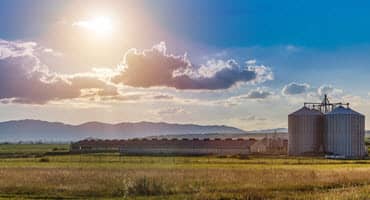 Agriculture Has Sustained Kings County Residents Since the Beginning