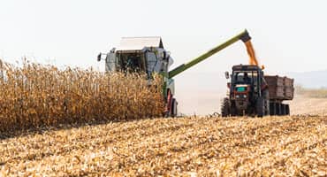 High Yields Still Possible Despite Calendar