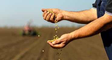 Planting in Kentucky Ahead