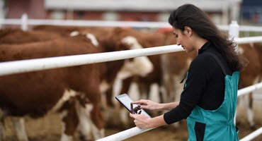 Sharing Experiences Managing Bovine Leukemia Virus During 2023 International All Things BLV Conference