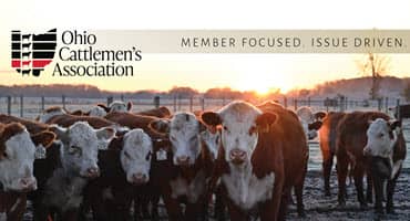 Darke County Cattlemen’s Association Receives Outstanding County Award