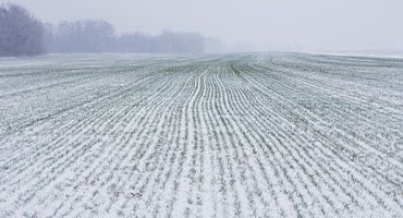 Iowa snowfall brings relief to drought-stricken state