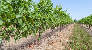 UW Grant to Boost NFMC Agriculture Safety Training Program for Rural Fire and EMS