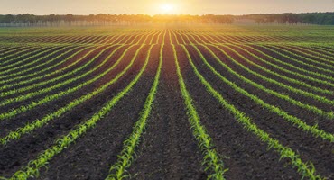 State Department of Agriculture Director to Visit Cuba Next Week