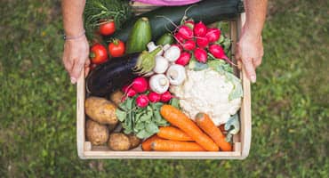 Kick-Start Spring 2024 by Getting Into the Garden