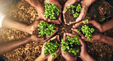Help Stop Invasive Species During National Invasive Species Awareness Week