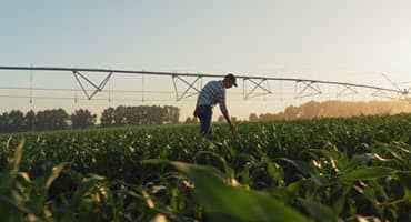 Bill Northey Honored By Agribusiness Association of Iowa