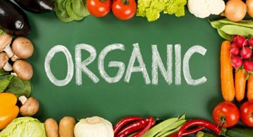 PA grants boost organic farming workforce