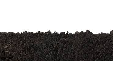 Latino Farmer Believes Healthy Food Goes Hand in Hand With Healthy Soil
