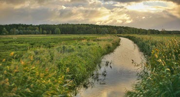 Prions in MN Waterways: Discovery Helps Water Managers Plan