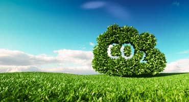 WMU Secures $2.25 Million Grant for Carbon Capture Research