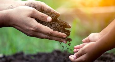Secrets underfoot - the living world of soil