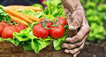 How Do SNAP and Double Up Food Bucks Benefit Our Communities?