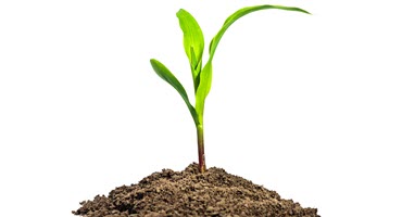 Earth Day Program Celebrates Ohio’s Native Plants