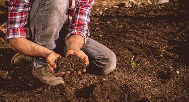 Auburn Research Makes Alabama-Grown Beer Possible