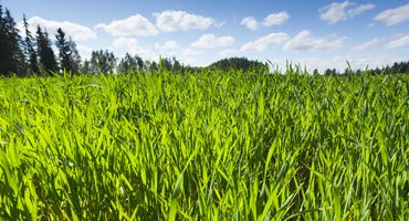 Potential for Crop Expansion in Brazil Based on Pastureland and Double-Cropping