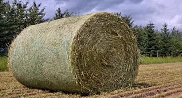 Upgrade your grazing land - free program in MO