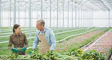 Agriculture Emissions Fall to Lowest Levels in 10 Years
