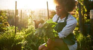 Gardeners Need to Adjust as Hardiness Zones Shift in Wisconsin