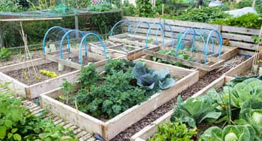 Lee's summit farmers market - April 20th event