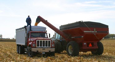 'Harvesting Data': Latin American AI Startups Transform Farming